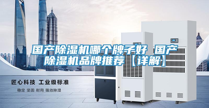 國產除濕機哪個牌子好 國產除濕機品牌推薦【詳解】