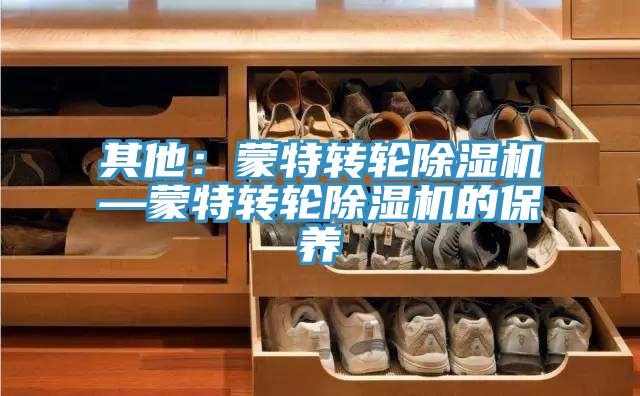 其他：蒙特轉(zhuǎn)輪除濕機—蒙特轉(zhuǎn)輪除濕機的保養(yǎng)