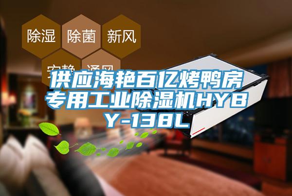 供應海艷百億烤鴨房專用工業(yè)除濕機HYBY-138L