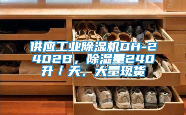 供應工業(yè)除濕機DH-2402B，除濕量240升／天，大量現(xiàn)貨