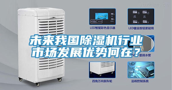 未來(lái)我國(guó)除濕機(jī)行業(yè)市場(chǎng)發(fā)展優(yōu)勢(shì)何在？