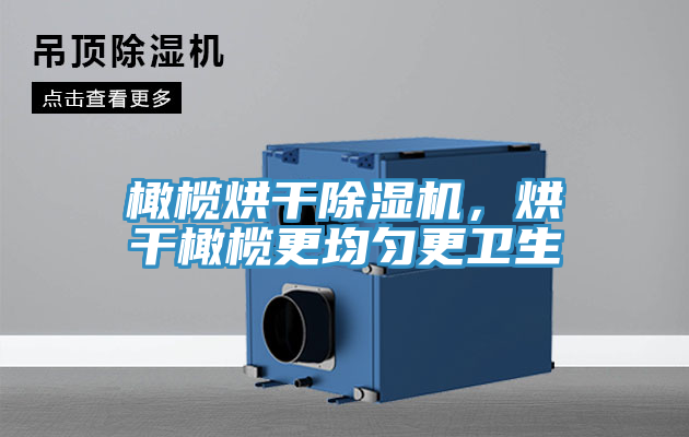 橄欖烘干除濕機(jī)，烘干橄欖更均勻更衛(wèi)生