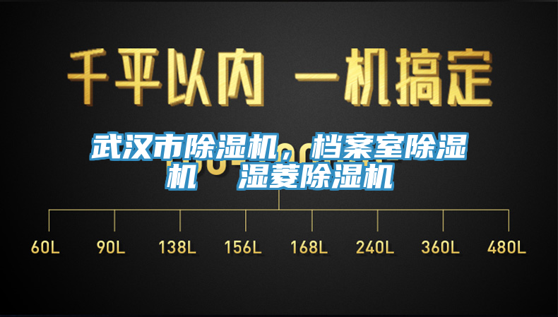 武漢市除濕機，檔案室除濕機  濕菱除濕機