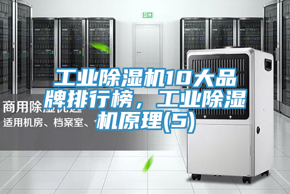 工業除濕機10大品牌排行榜，工業除濕機原理(5)