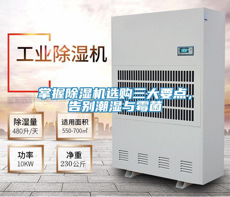 掌握除濕機選購三大要點，告別潮濕與霉菌