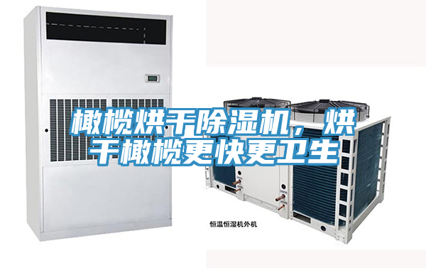 橄欖烘干除濕機(jī)，烘干橄欖更快更衛(wèi)生