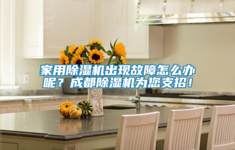 家用除濕機出現(xiàn)故障怎么辦呢？成都除濕機為您支招！