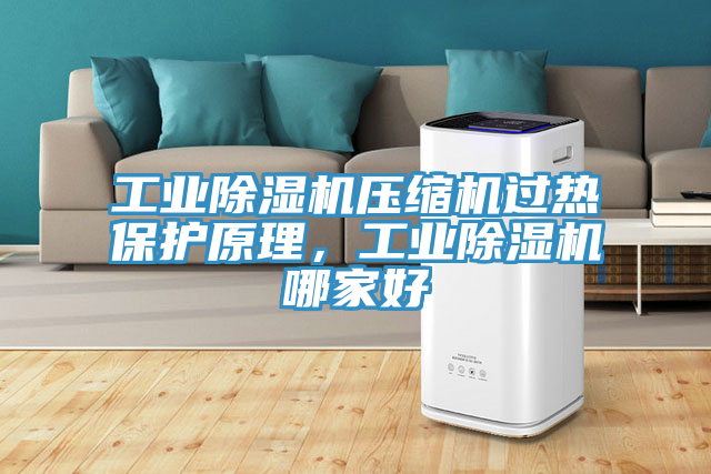工業除濕機壓縮機過熱保護原理,工業除濕機哪家好