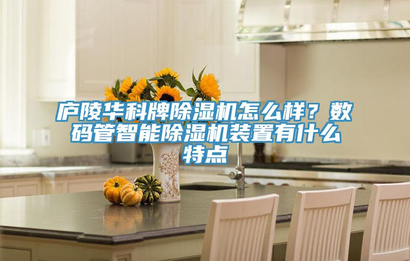 廬陵華科牌除濕機怎么樣？數碼管智能除濕機裝置有什么特點