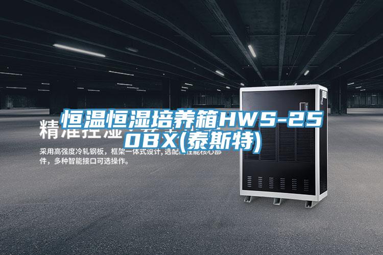 恒溫恒濕培養箱HWS-250BX(泰斯特)