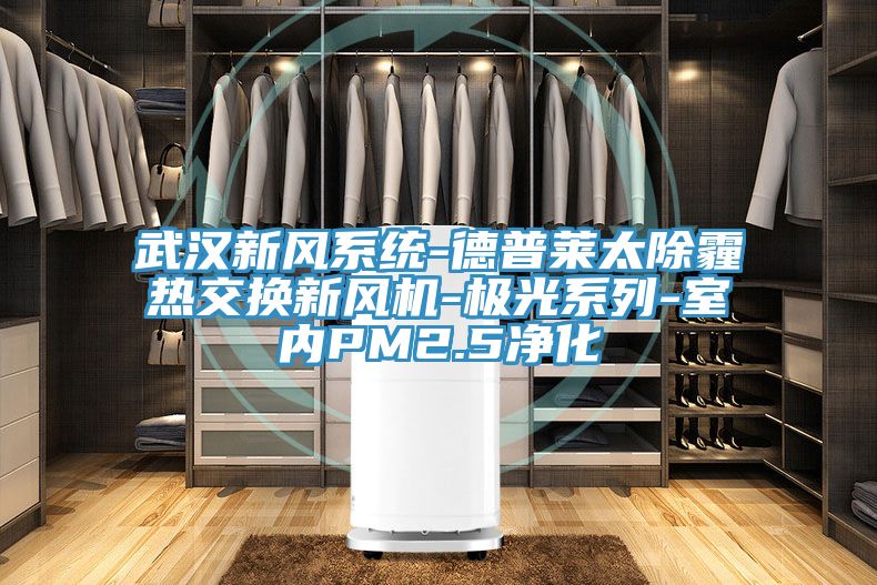 武漢新風系統-德普萊太除霾熱交換新風機-極光系列-室內PM2.5凈化
