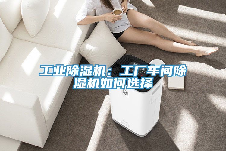 工業除濕機：工廠車間除濕機如何選擇