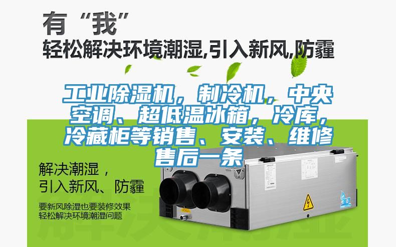 工業(yè)除濕機(jī)，制冷機(jī)，中央空調(diào)、超低溫冰箱，冷庫(kù)，冷藏柜等銷(xiāo)售、安裝、維修售后一條