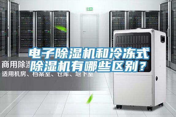 電子除濕機和冷凍式除濕機有哪些區別？