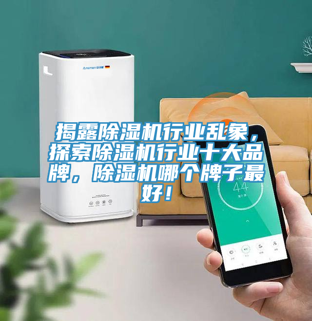 揭露除濕機(jī)行業(yè)亂象，探索除濕機(jī)行業(yè)十大品牌，除濕機(jī)哪個牌子最好！