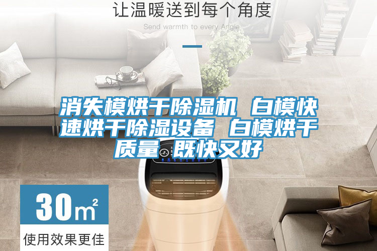 消失模烘干除濕機(jī) 白?？焖俸娓沙凉裨O(shè)備 白模烘干質(zhì)量 既快又好