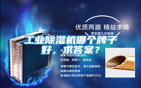 工業(yè)除濕機(jī)哪個(gè)牌子好，求答案？