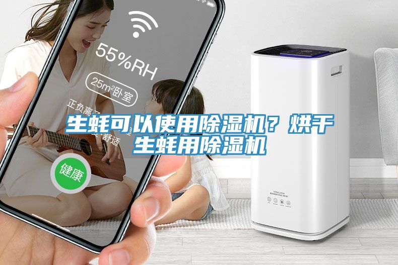 生蠔可以使用除濕機？烘干生蠔用除濕機
