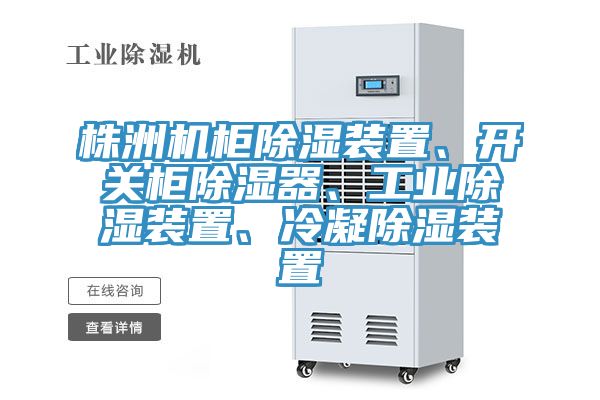 株洲機柜除濕裝置、開關柜除濕器、工業除濕裝置、冷凝除濕裝置