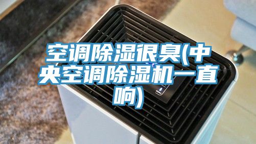 空調(diào)除濕很臭(中央空調(diào)除濕機(jī)一直響)
