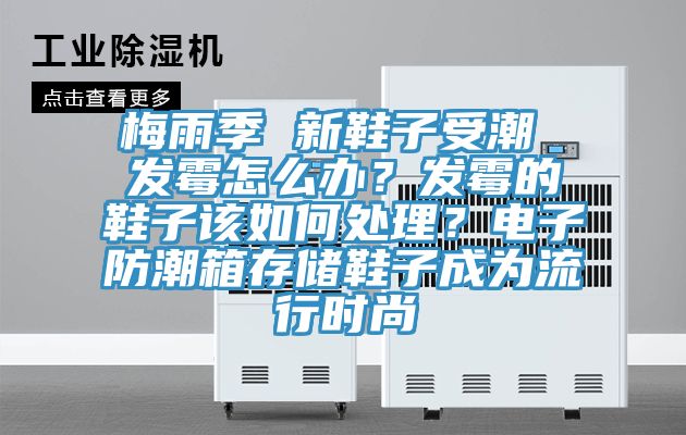 梅雨季 新鞋子受潮 發霉怎么辦？發霉的鞋子該如何處理？電子防潮箱存儲鞋子成為流行時尚