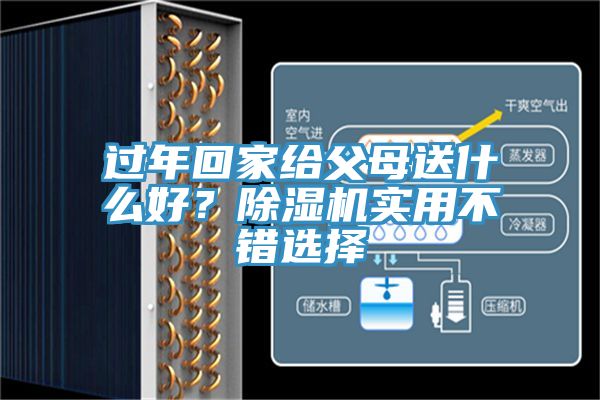 過年回家給父母送什么好？除濕機實用不錯選擇