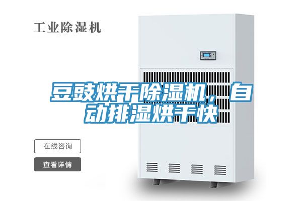 豆豉烘干除濕機，自動排濕烘干快
