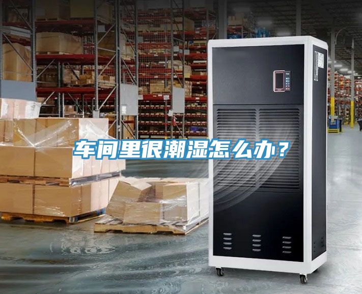 車間里很潮濕怎么辦？