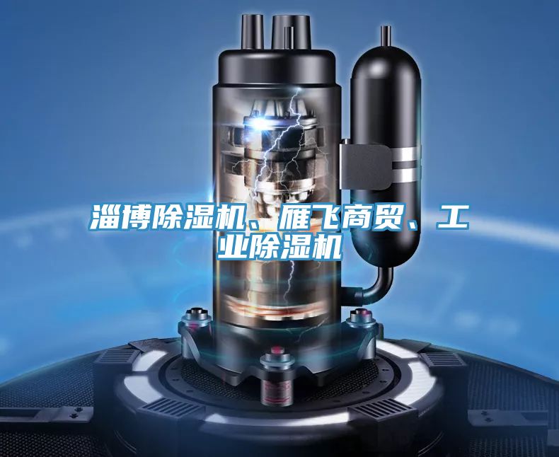 淄博除濕機(jī)、雁飛商貿(mào)、工業(yè)除濕機(jī)