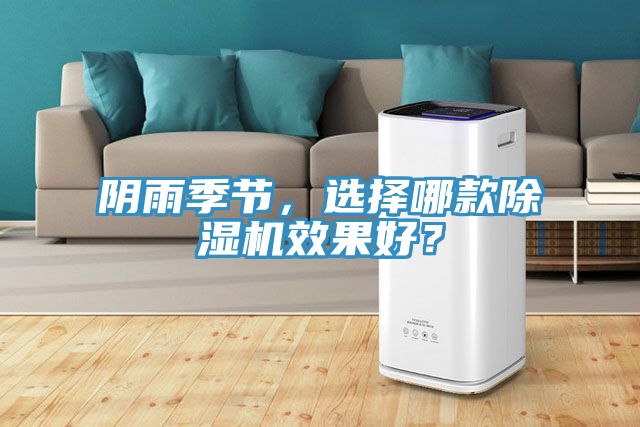 陰雨季節(jié)，選擇哪款除濕機(jī)效果好？