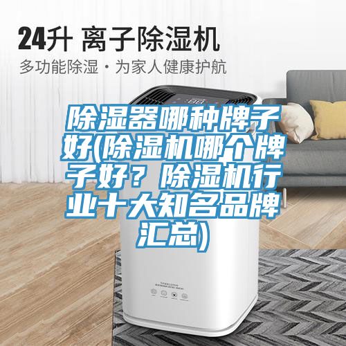 除濕器哪種牌子好(除濕機哪個牌子好？除濕機行業十大知名品牌匯總)