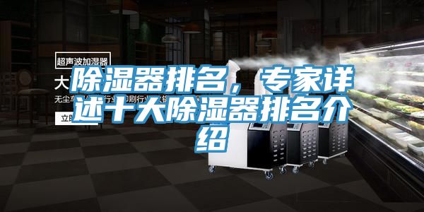 除濕器排名，專(zhuān)家詳述十大除濕器排名介紹