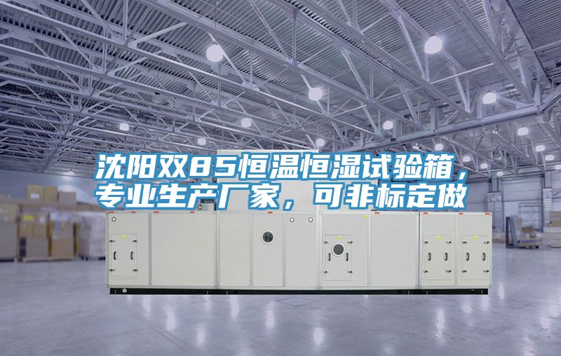 沈陽(yáng)雙85恒溫恒濕試驗(yàn)箱，專業(yè)生產(chǎn)廠家，可非標(biāo)定做