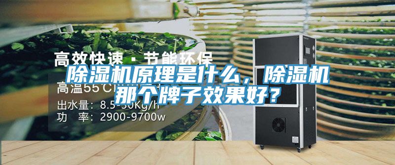 除濕機原理是什么，除濕機那個牌子效果好？