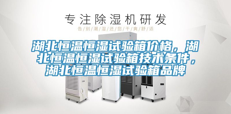 湖北恒溫恒濕試驗箱價格，湖北恒溫恒濕試驗箱技術條件，湖北恒溫恒濕試驗箱品牌