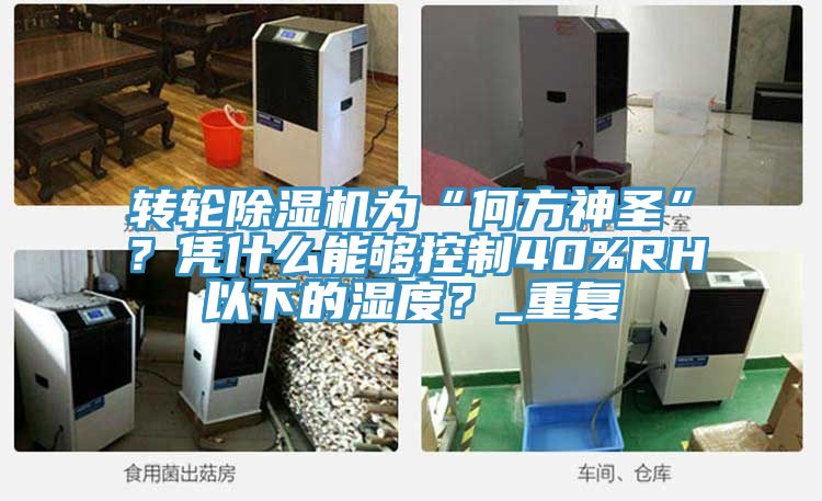 轉輪除濕機為“何方神圣”？憑什么能夠控制40%RH以下的濕度？_重復