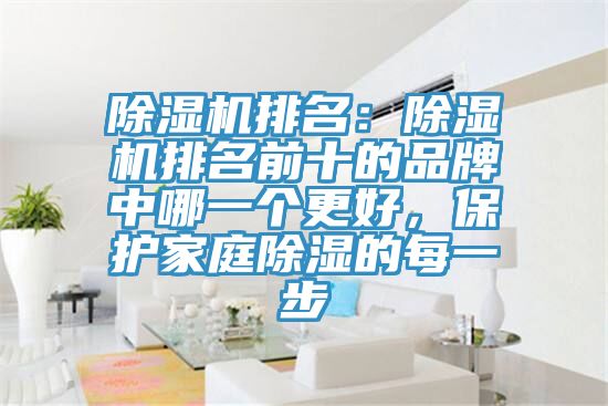 除濕機(jī)排名：除濕機(jī)排名前十的品牌中哪一個(gè)更好，保護(hù)家庭除濕的每一步