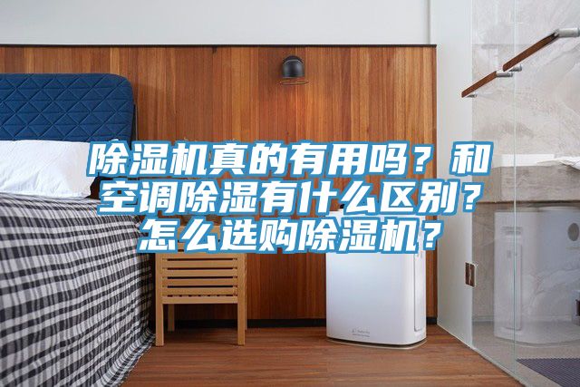 除濕機真的有用嗎?和空調除濕有什么區別?怎么選購除濕機?