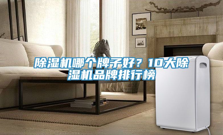 除濕機哪個牌子好？10大除濕機品牌排行榜