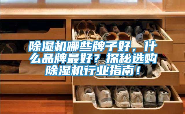 除濕機哪些牌子好，什么品牌最好？探秘選購除濕機行業(yè)指南！