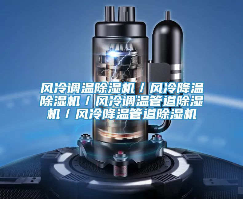 風(fēng)冷調(diào)溫除濕機(jī)/風(fēng)冷降溫除濕機(jī)/風(fēng)冷調(diào)溫管道除濕機(jī)/風(fēng)冷降溫管道除濕機(jī)