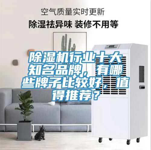 除濕機(jī)行業(yè)十大知名品牌,有哪些牌子比較好,值得推薦?