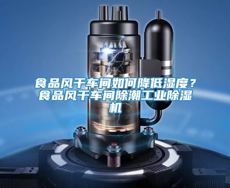 食品風干車間如何降低濕度?食品風干車間除潮工業除濕機