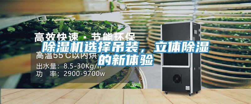 除濕機選擇吊裝,立體除濕的新體驗