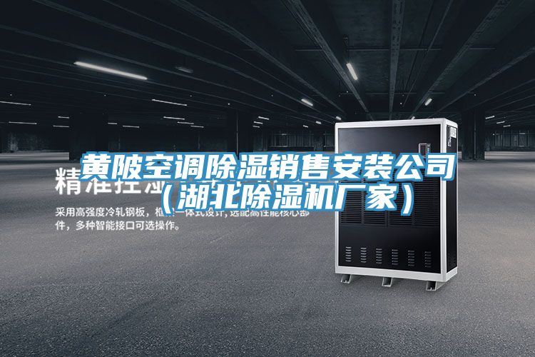黃陂空調除濕銷售安裝公司(湖北除濕機廠家)