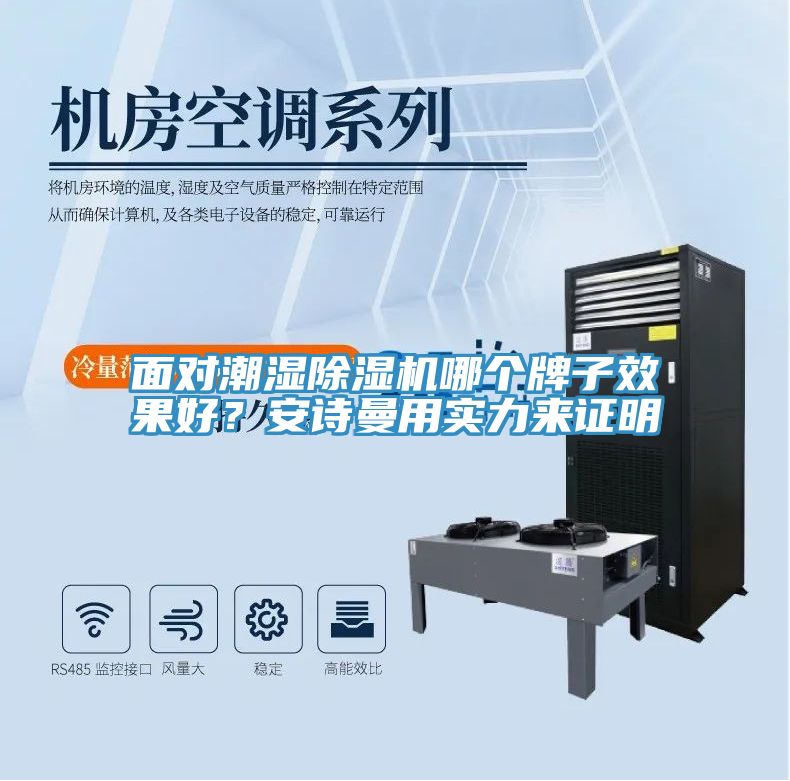 面對潮濕除濕機哪個牌子效果好?安詩曼用實力來證明